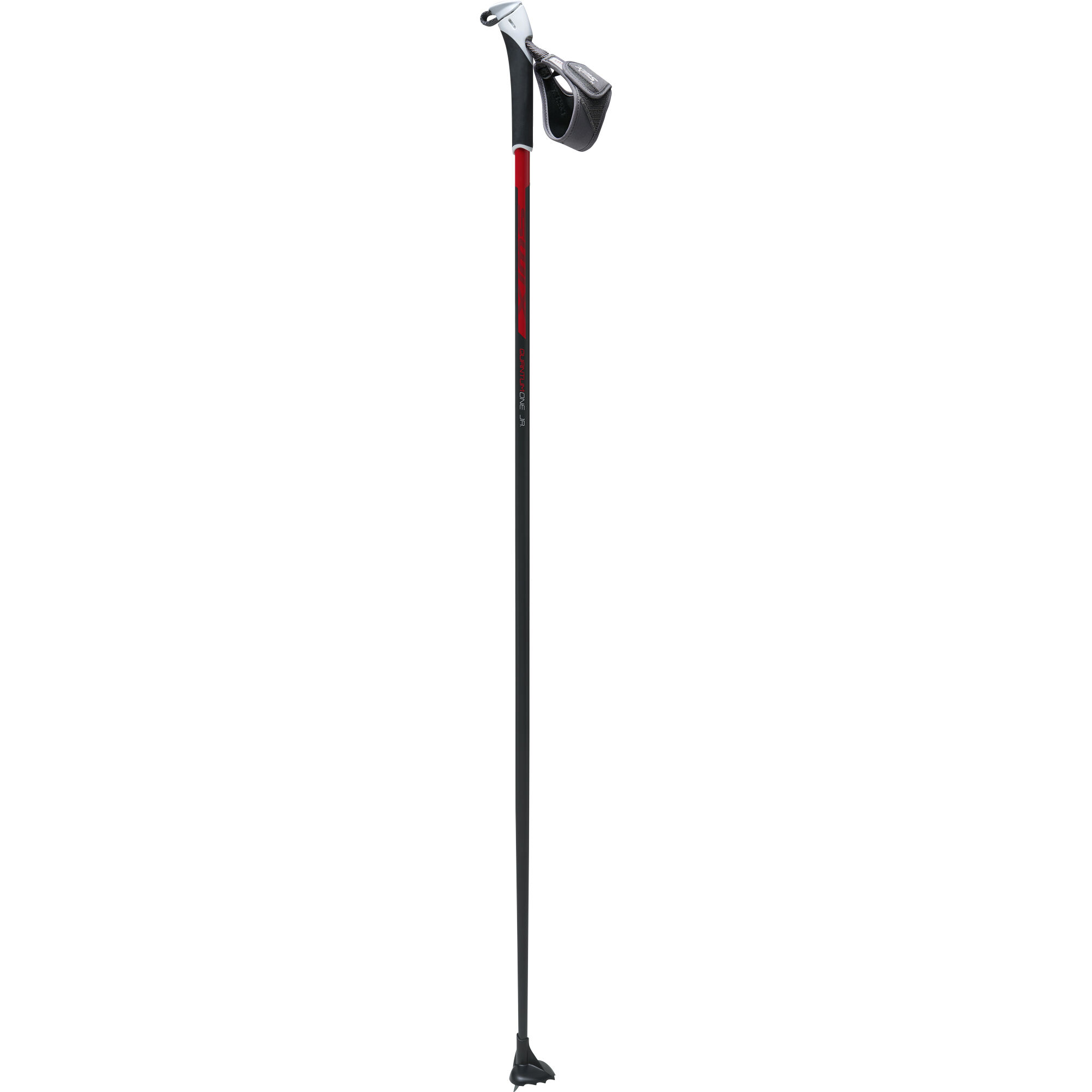 Quantum Q1 pole | Swix