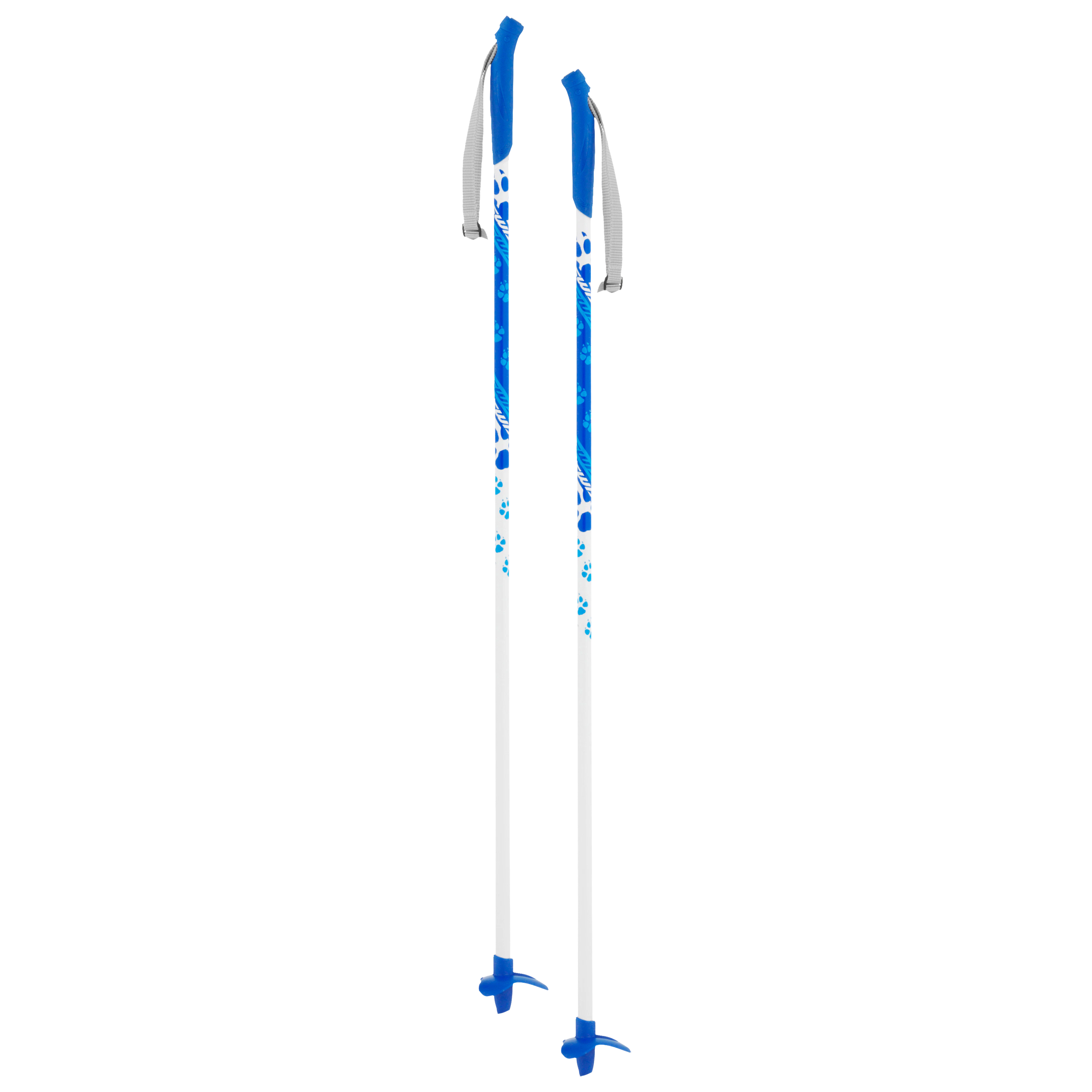 Poles & accessories | Swix